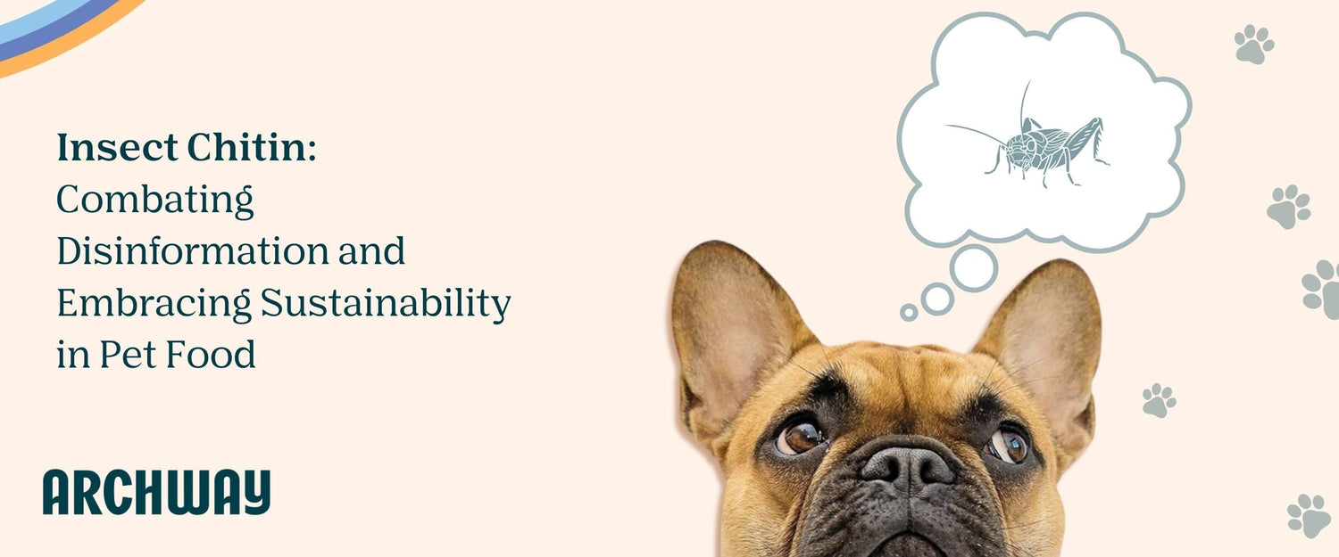 Is Insect Chitin the Future of Pet Nutrition?