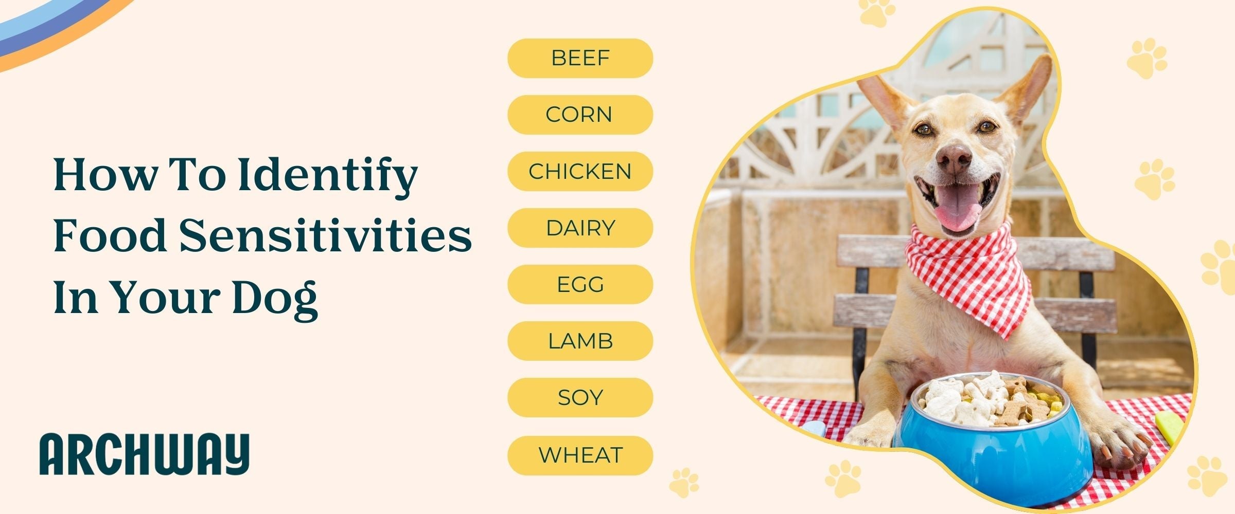 How To Identify Food Sensitivities In Your Dog – Archway - Canine Immune System Food Sensitivities