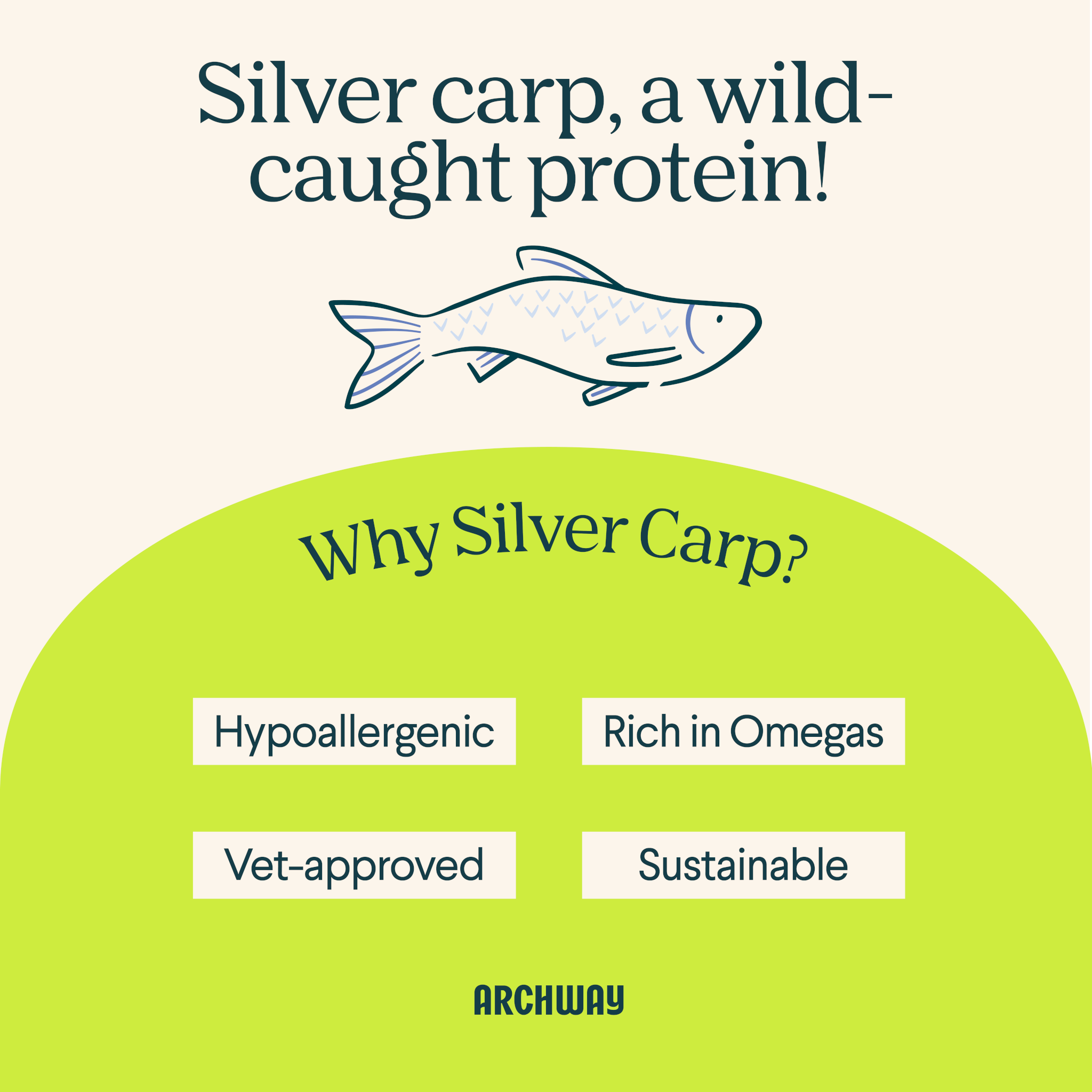 Silver Carp Dog Food