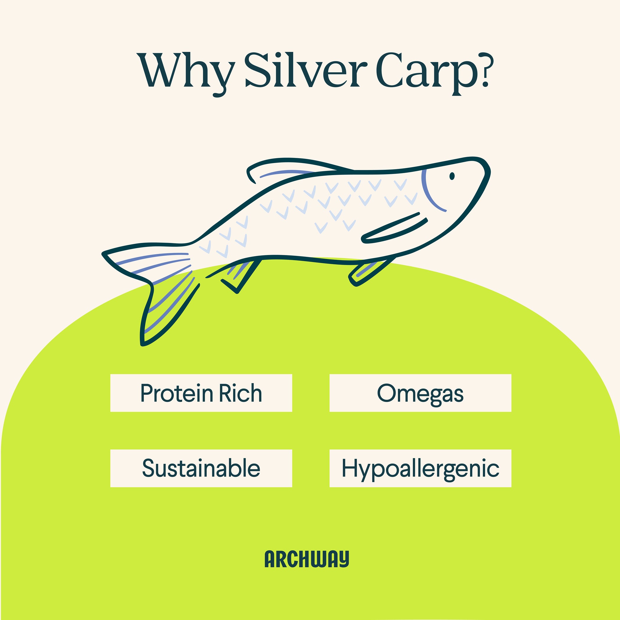 Silver Carp For Dogs