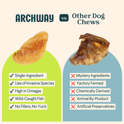 Sustainable Fish Maws For Dogs