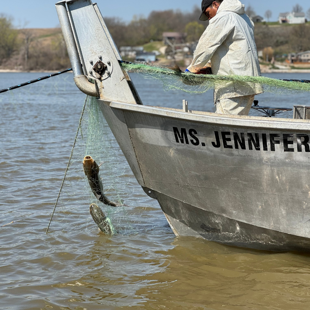 Silver Carp harvesting boat MS. Jennifer