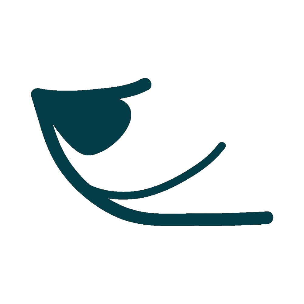 Pet icon
