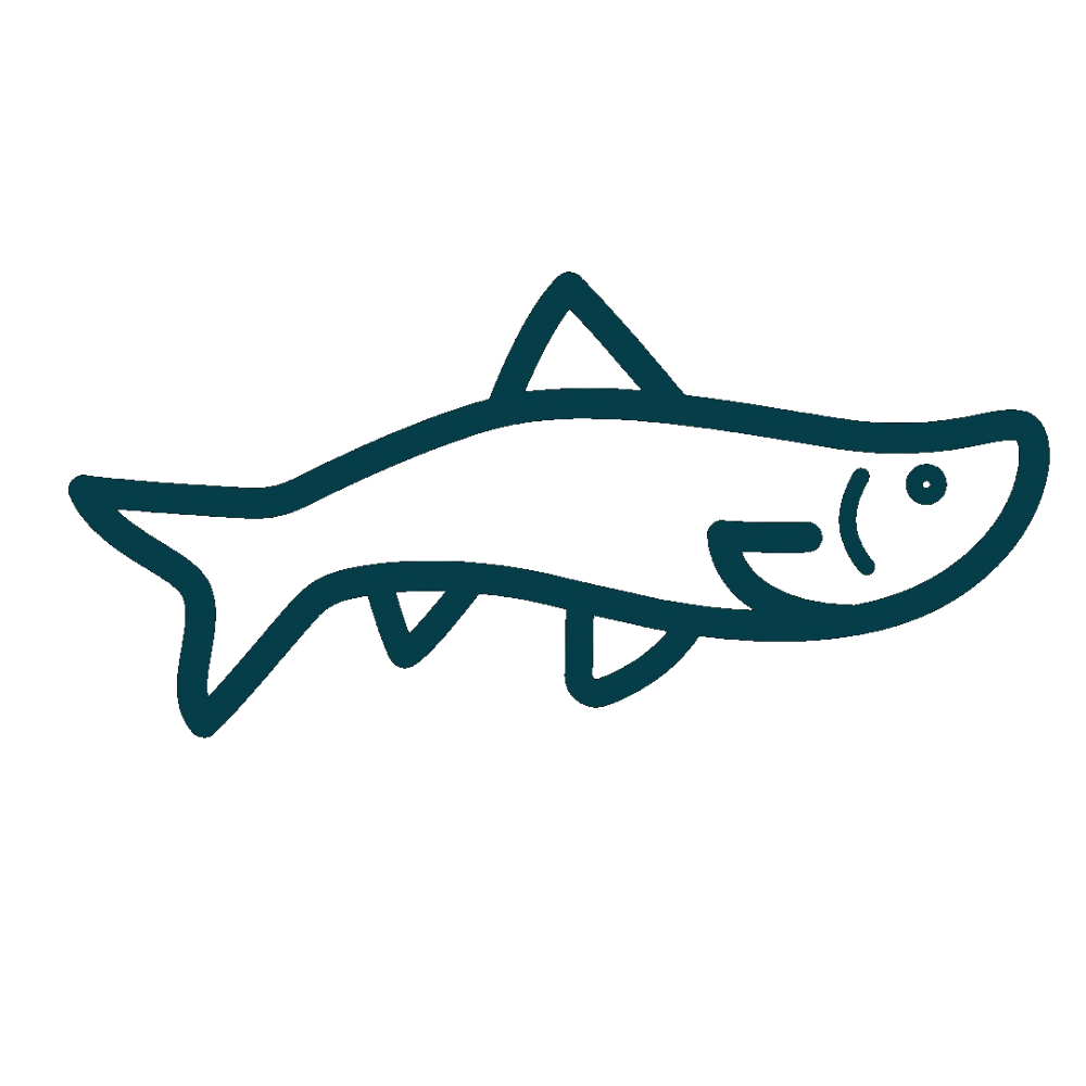 Fish icon